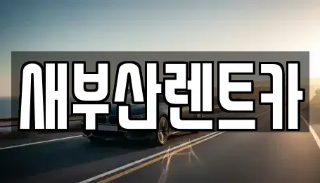 부산광역시 중구 신창동4가 렌트카 전문 새부산렌트카