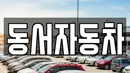 부산광역시 중구 신창동4가 중고차매매 전문 동서자동차