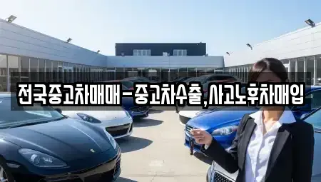 부산광역시 중구 신창동4가 중고차매매 전문 전국중고차매매-중고차수출,사고노후차매입