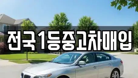 서울 노원구 하계동 중고차 전문 전국1등중고차매입