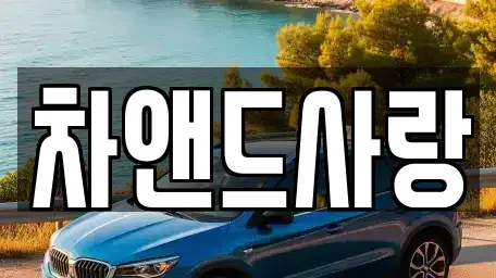서울 노원구 하계동 중고차 전문 차앤드사랑