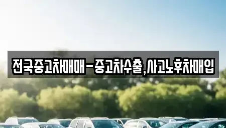 서울 노원구 하계동 중고차매입 전문 전국중고차매매-중고차수출,사고노후차매입