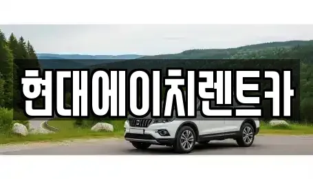 서울 서초구 염곡동 렌트카 전문 현대에이치렌트카