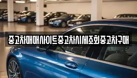 서울 서초구 염곡동 중고차매매 전문 중고차매매사이트중고차시세조회중고차구매