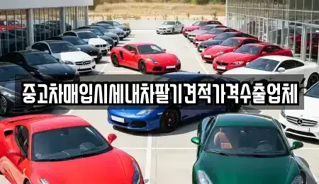 서울 서초구 염곡동 중고차매입 전문 중고차매입시세내차팔기견적가격수출업체