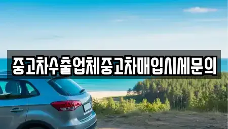 서울 서초구 염곡동 중고차매입 전문 중고차수출업체중고차매입시세문의