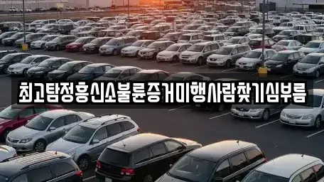 서울 서초구 염곡동 중고차매입 전문 최고탐정흥신소불륜증거미행사람찾기심부름