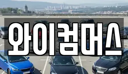 서울 성동구 홍익동 렌트카 전문 와이컴머스