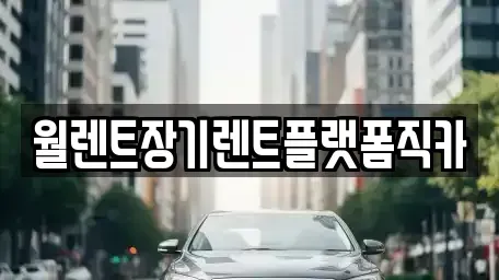 서울 성동구 홍익동 장기렌트카 전문 월렌트장기렌트플랫폼직카