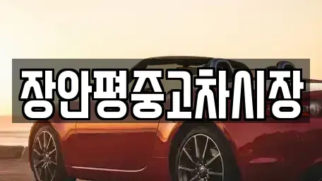 서울 성동구 홍익동 중고차 전문 장안평중고차시장