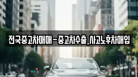 서울 성동구 홍익동 중고차 전문 전국중고차매매-중고차수출,사고노후차매입