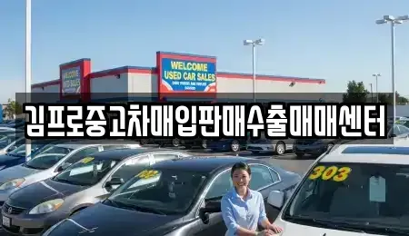 서울 성동구 홍익동 중고차매입 전문 김프로중고차매입판매수출매매센터