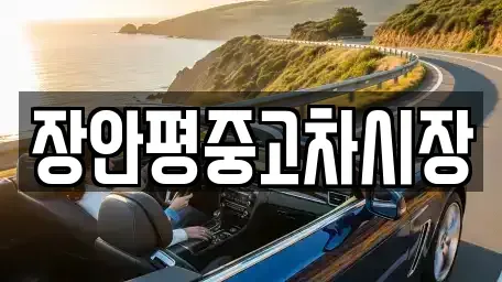 서울 송파구 문정동 중고차매매 전문 장안평중고차시장