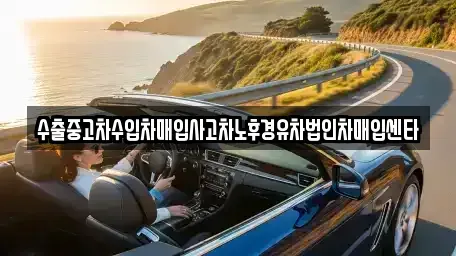 서울 송파구 문정동 중고차매입 전문 수출중고차수입차매입사고차노후경유차법인차매입센타