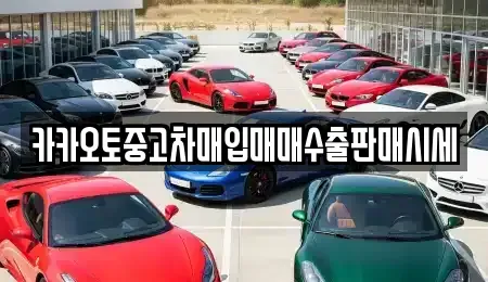 서울 송파구 중고차매입 전문 카카오토중고차매입매매수출판매시세