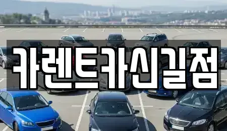 서울 영등포구 영등포동4가 렌트카 전문 카렌트카신길점