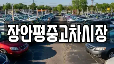 서울 영등포구 영등포동4가 중고차 전문 장안평중고차시장