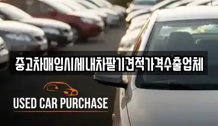서울 영등포구 영등포동4가 중고차매입 전문 중고차매입시세내차팔기견적가격수출업체