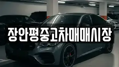 서울 용산구 이촌동 중고차매매 전문 장안평중고차매매시장