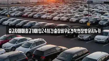 서울 용산구 이촌동 중고차매입 전문 중고차매매최고가매입24시간출장비무료견적현장방문지누카