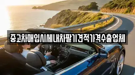 서울 용산구 이촌동 중고차매입 전문 중고차매입시세내차팔기견적가격수출업체