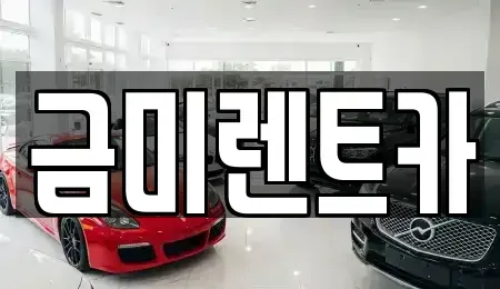서울 종로구 관훈동 렌트카 전문 금미렌트카