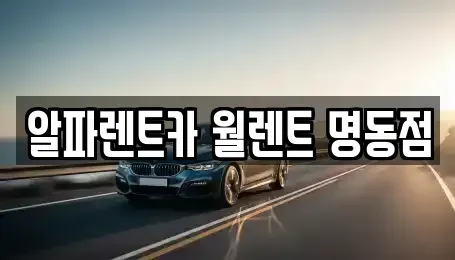 서울 종로구 관훈동 렌트카 전문 알파렌트카 월렌트 명동점