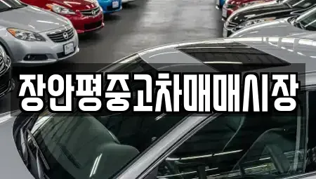 서울 종로구 관훈동 중고차 전문 장안평중고차매매시장