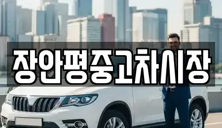 서울 종로구 관훈동 중고차 전문 장안평중고차시장