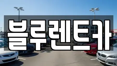 서울 종로구 충신동 렌트카 전문 블루렌트카
