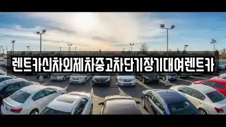 서울 종로구 충신동 장기렌트카,중고차,렌트카,단기렌트카,중고차매입,중고차매매