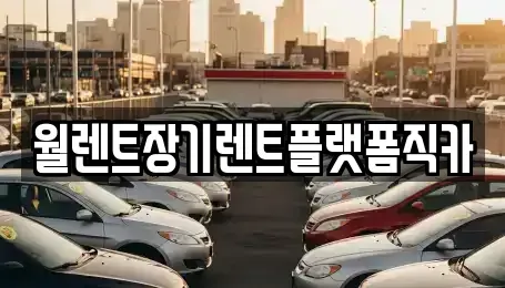 서울 종로구 충신동 장기렌트카 전문 월렌트장기렌트플랫폼직카