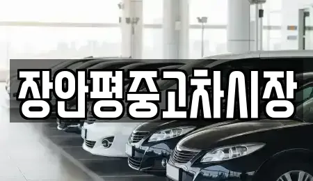 서울 종로구 충신동 중고차 전문 장안평중고차시장