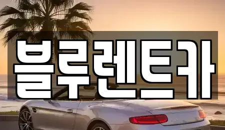 서울 중구 광희동2가 렌트카 전문 블루렌트카