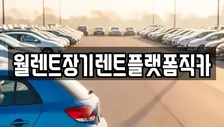 서울 중구 광희동2가 장기렌트카 전문 월렌트장기렌트플랫폼직카
