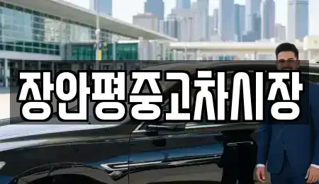 서울 중구 광희동2가 중고차 전문 장안평중고차시장