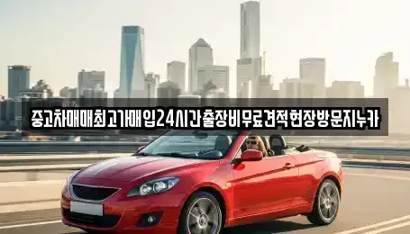 서울 중구 광희동2가 중고차 전문 중고차매매최고가매입24시간출장비무료견적현장방문지누카