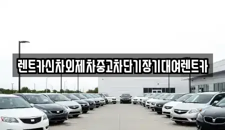 서울 중구 중림동 렌트카 전문 렌트카신차외제차중고차단기장기대여렌트카