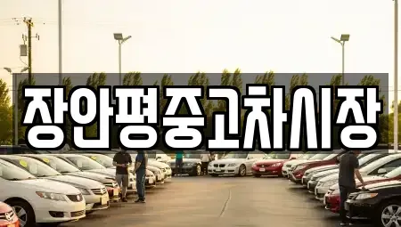 서울 중구 중림동 중고차 전문 장안평중고차시장