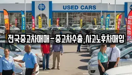 서울 중구 중림동 중고차 전문 전국중고차매매-중고차수출,사고노후차매입