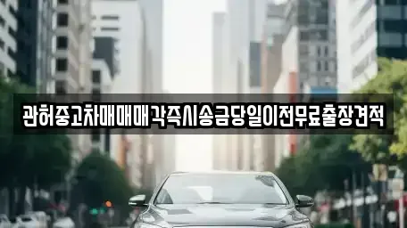 서울 중구 중림동 중고차매매 전문 관허중고차매매매각즉시송금당일이전무료출장견적