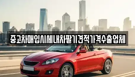서울 중구 중림동 중고차매입 전문 중고차매입시세내차팔기견적가격수출업체