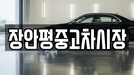 서울 중구 충무로1가 중고차 전문 장안평중고차시장