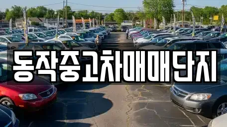 서울특별시 동작구 중고차매매 전문 동작중고차매매단지