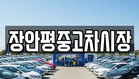 서울특별시 서대문구 대현동 중고차 전문 장안평중고차시장