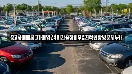 서울특별시 서대문구 대현동 중고차 전문 중고차매매최고가매입24시간출장비무료견적현장방문지누카