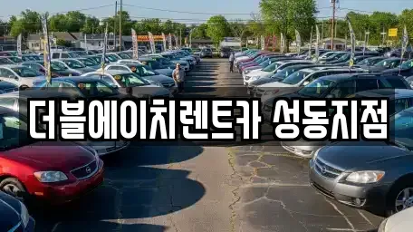 서울특별시 성동구 렌트카 전문 더블에이치렌트카 성동지점