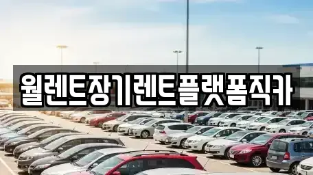 서울특별시 성동구 장기렌트카 전문 월렌트장기렌트플랫폼직카