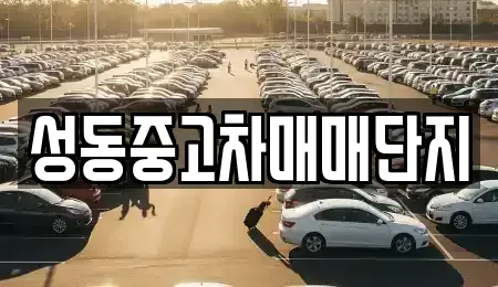 서울특별시 성동구 중고차 전문 성동중고차매매단지