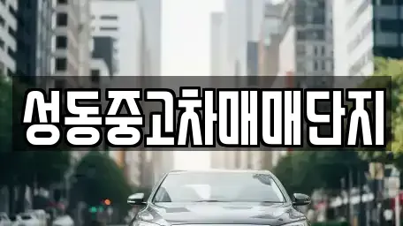 서울특별시 성동구 중고차 전문 성동중고차매매단지